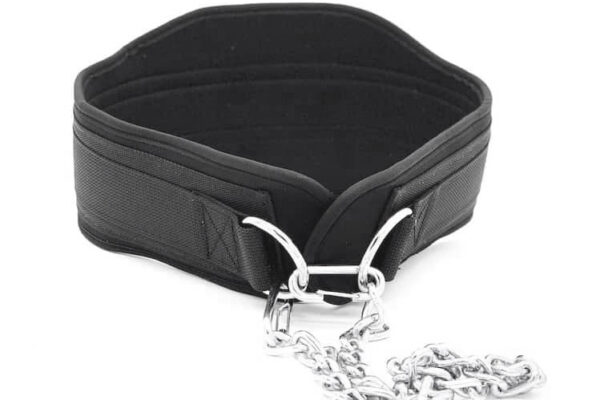 Dip Belt