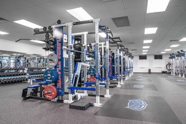 florida-atlantic-university-samson-15