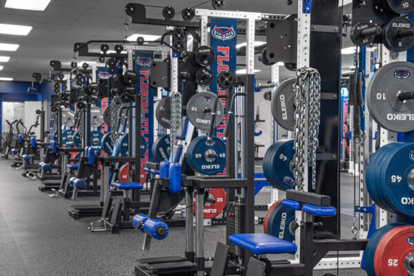 florida-atlantic-university-samson-18