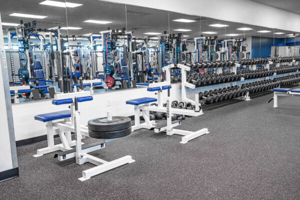 florida-atlantic-university-samson-20