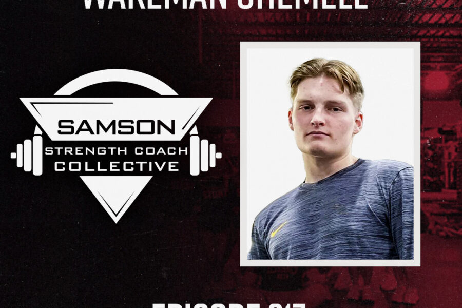 S02|E217 Building Professionalism As A Coach with Wakeman Chemell