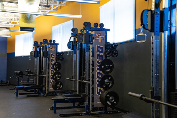 Samson Flex Rack – Functional Training Rack (FTR) FTR111MSSL